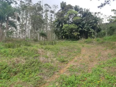 Lote/Terreno à venda, 25000m² no , Rio dos Cedros