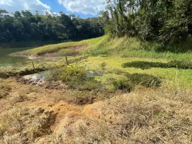 Fazenda/Sítio à venda, 1740000m² no Centro, Poços de Caldas