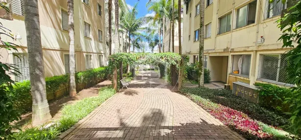 Apartamento com 2 Quartos à venda, 50m² no Cidade dos Bandeirantes, São Paulo