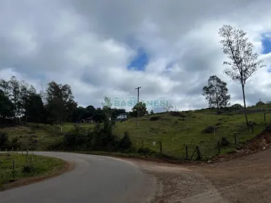 Fazenda/Sítio com 3 Quartos à venda, 38200m² no São Marcos, São Marcos