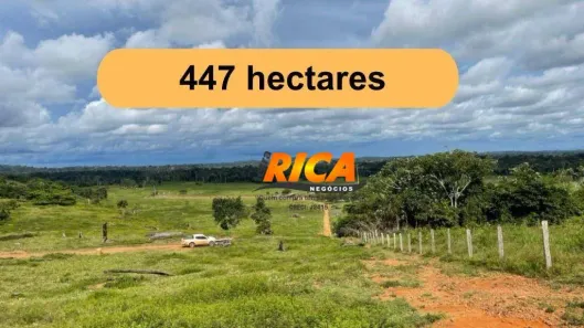 Fazenda/Sítio à venda, 4470000m² no , Candeias do Jamari