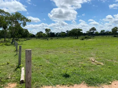 Fazenda/Sítio à venda no , Poconé