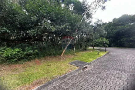 Lote/Terreno à venda, 733m² no Pinheiro Grosso, Canela