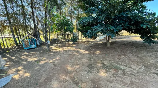 Fazenda/Sítio com 2 Quartos à venda, 36000m² no , Ouro Fino