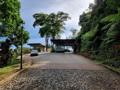 Lote/Terreno à venda, 440m² no Parque Guadalajara, Juiz de Fora