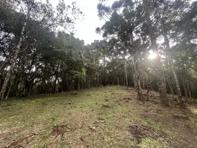 Fazenda/Sítio à venda, 54000m² no Área Rural de Almirante Tamandaré, Almirante Tamandaré
