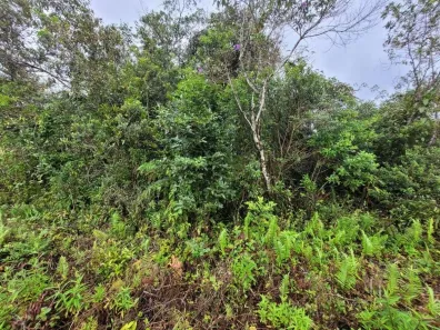 Lote/Terreno à venda, 378m² no Jardim Coronel, Itanhaém