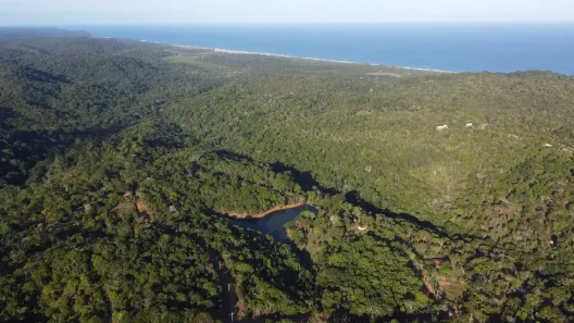 Lote/Terreno à venda, 5000m² no , Uruçuca