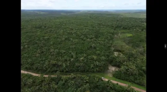 Fazenda/Sítio com 1 Quarto à venda, 400000m² no 01, Chapadinha