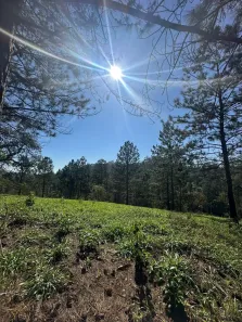 Lote/Terreno à venda, 1000m² no Jardim Vitoria, Mairinque