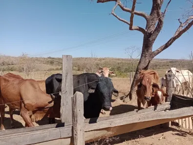 Fazenda/Sítio à venda, 500000m² no , Cabeceiras