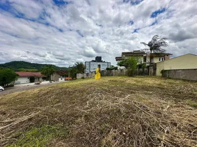 Lote/Terreno à venda, 741m² no Quintino, Timbó
