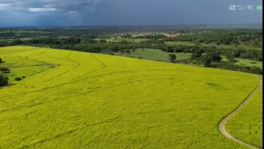 Fazenda/Sítio com 4 Quartos à venda, 630m² no , Poconé