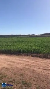 Fazenda/Sítio com 8 Quartos à venda, 102m² no Setor Central, Silvânia