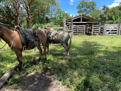 Fazenda/Sítio à venda, 111111111m² no Centro, Colinas do Tocantins