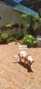 Casa com 3 Quartos à venda, 120m² no Cidade Salvador, Jacareí
