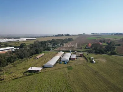 Fazenda/Sítio à venda, 20662m² no Área Rural de Holambra, Holambra