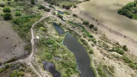 Fazenda/Sítio com 3 Quartos à venda, 230000m² no , Monte Alegre