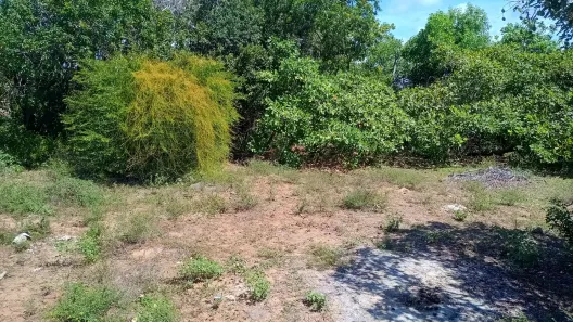 Lote/Terreno à venda, 1600m² no Itacimirim (Monte Gordo), Camaçari
