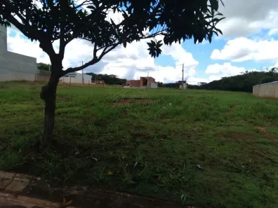 Lote/Terreno à venda, 250m² no Jardim São Camilo, Araraquara