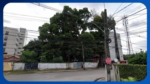 Lote/Terreno com 1 Quarto à venda, 80m² no Iputinga, Recife