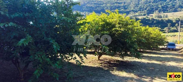 Fazenda/Sítio com 1 Quarto à venda, 5000m² no , Nova Petrópolis
