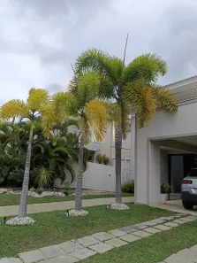 Casa de Condomínio com 3 Quartos para alugar, 296m² no Alphaville (Abrantes), Camaçari