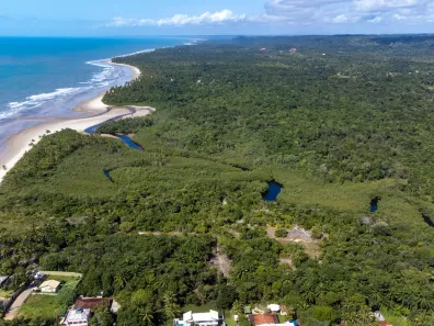 Lote/Terreno com 1 Quarto à venda, 21200m² no Serra Grande, Uruçuca