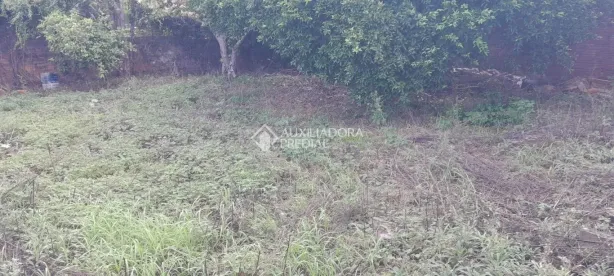 Lote/Terreno à venda, 300m² no Santa Teresa, São Leopoldo