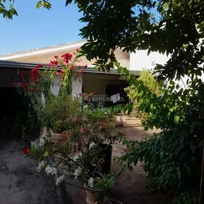 Casa com 3 Quartos à venda, 140m² no Vila Zilda, São José do Rio Preto