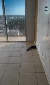 Apartamento com 3 Quartos para alugar, 69m² no Parque Oeste Industrial, Goiânia