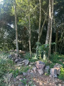 Lote/Terreno à venda, 714m² no , Nova Petrópolis