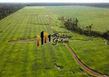 Fazenda/Sítio à venda, 22100000m² no Quatro Bocas, Tomé-Açu
