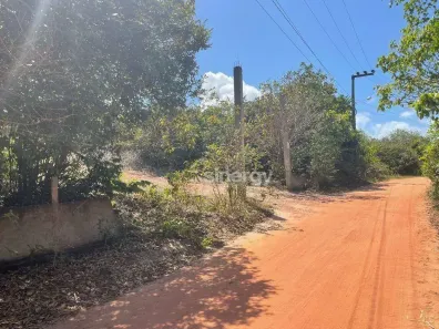 Lote/Terreno à venda, 6017m² no Praia da Pipa, Tibau do Sul