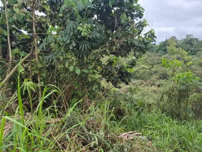 Lote/Terreno à venda, 250m² no Vila São Paulo, Mogi das Cruzes