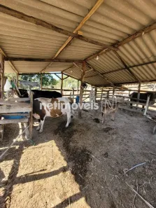 com 4 Quartos à venda, 65000m² no , Entre Rios de Minas