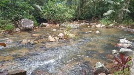 Lote/Terreno à venda, 1064m² no Morretes, Morretes