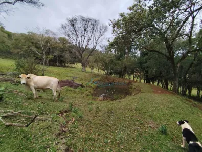 Fazenda/Sítio à venda, 350m² no Cascavel Velho, Cascavel