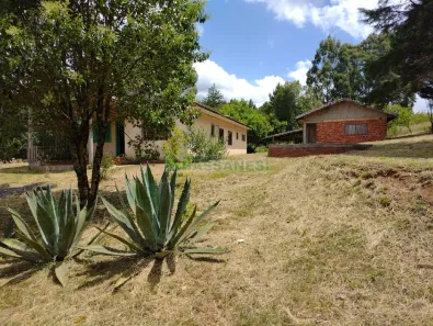 Fazenda/Sítio com 3 Quartos à venda, 5500m² no Jardim das Hortências, Caxias do Sul