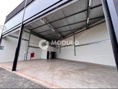 Galpão/Depósito/Armazém para alugar, 193m² no Luizote de Freitas, Uberlândia