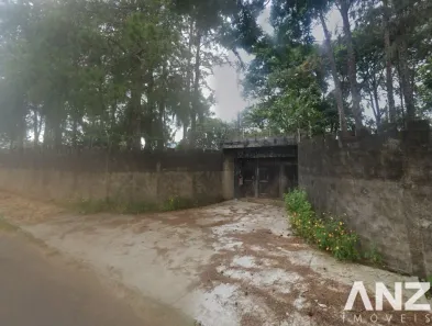 Fazenda/Sítio com 3 Quartos à venda, 4900m² no Recreio Campo Belo, Franca