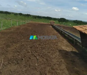 Fazenda/Sítio com 1 Quarto à venda, 113m² no Tomás Gonzaga, Curvelo