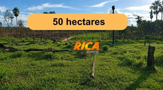 Fazenda/Sítio à venda, 500000m² no , Humaitá