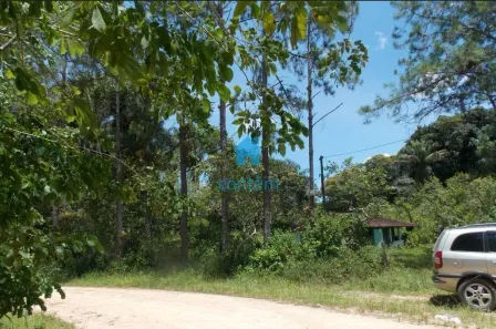 com 4 Quartos à venda, 173000m² no , Juquiá