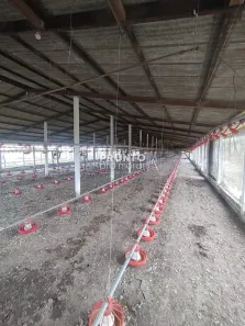 Fazenda/Sítio com 4 Quartos à venda, 265m² no Alto José Leal, Vitória de Santo Antão
