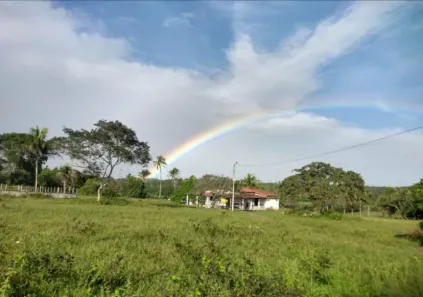 Fazenda/Sítio com 4 Quartos à venda, 38000m² no Santo Antônio do Potengi, São Gonçalo do Amarante