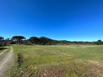 Fazenda/Sítio com 3 Quartos à venda, 40300m² no Serra Grande Italiana, Gramado