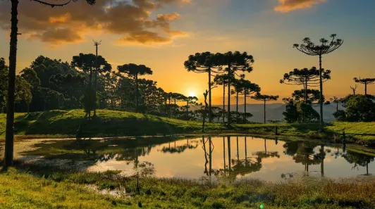 Lote/Terreno à venda, 80000m² no Águas Brancas, Urubici