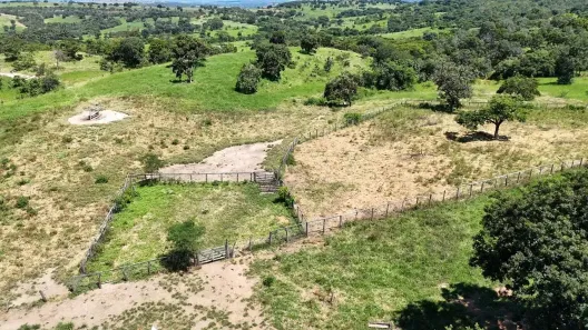 Fazenda/Sítio com 5 Quartos à venda, 16956m² no Área Rural de Mineiros, Mineiros
