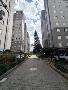 Apartamento com 3 Quartos para alugar, 65m² no Moinho Velho, São Paulo